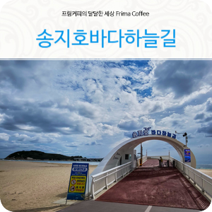 고성가볼만한곳 강원도 송지호바다하늘길