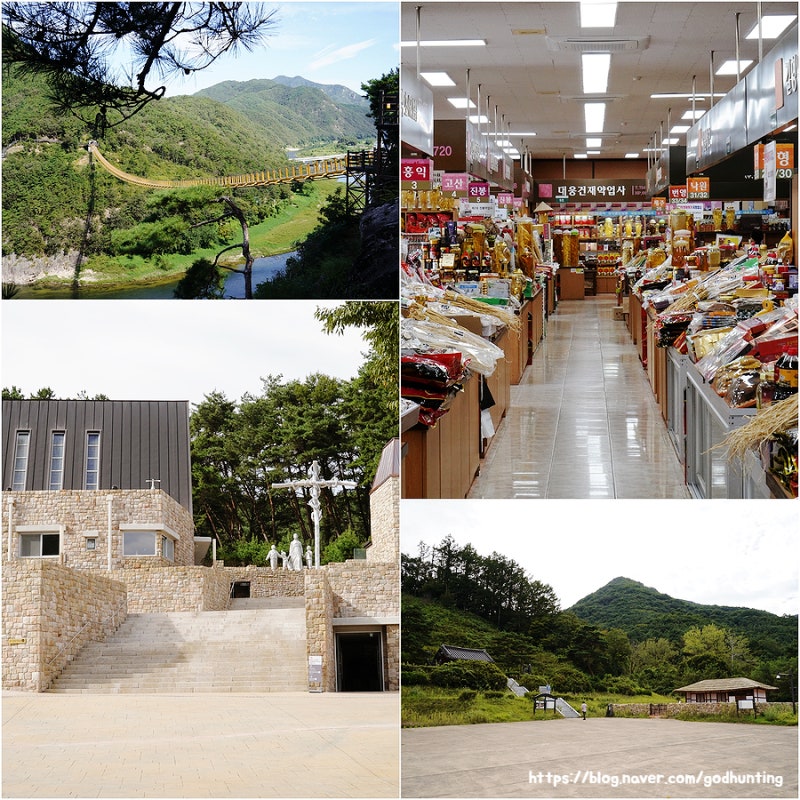 충남 금산 가볼만한곳 월영산 출렁다리부터 진산성지 당일치기 여행