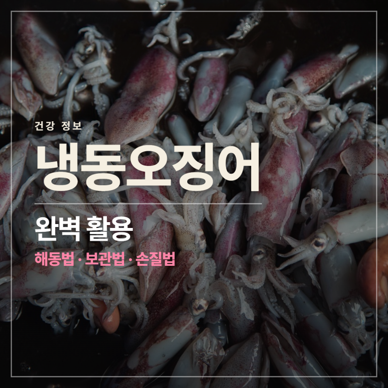 냉동오징어 해동법과 보관법부터 손질법, 요리 꿀팁까지 총정리