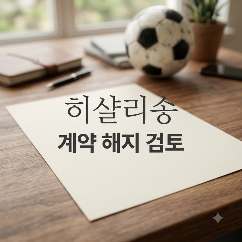 히샬리송 토트넘 계약 해지 검토 소식과 피파 규정 핵심 정리