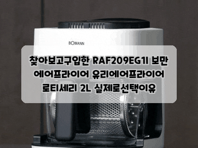 찾아보고구입한 RAF209EG1I 보만 에어프라이어 유리에어프라이어 로티세리 2L 실제로선택이유