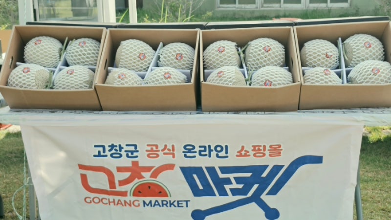 [포토]선운산 광장서 열린 '2026 고창멜론페스타'