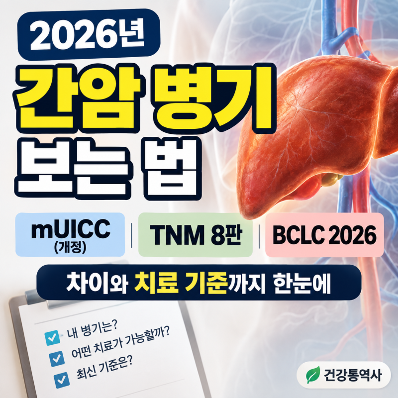 2026년 간암 병기 보는 법｜mUICC·TNM 8판·BCLC 2026 차이와 치료 기준