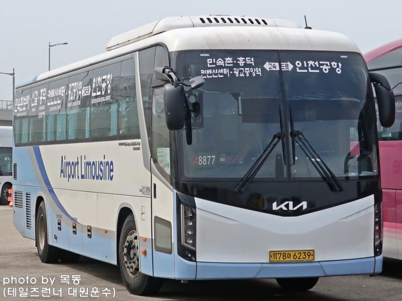 [공항버스] 경남여객 8877번 (한국민속촌, 흥덕, 광교중앙역 ↔ 인천공항)