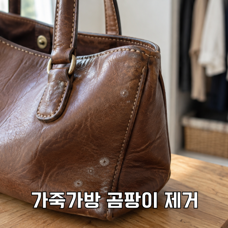 가죽가방 곰팡이 제거, 닦기 전에 확인할 것부터 살펴봐요