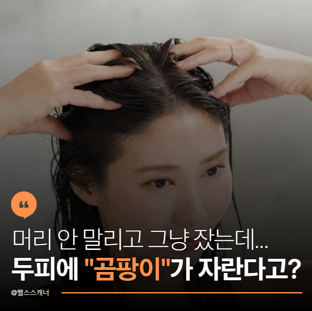 "머리에 곰팡이가 자랄 수도 있다고?"… 의사가 말한 두피부터 말려야 하는 이유