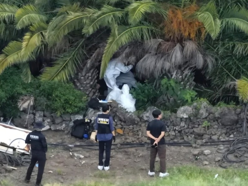 [제주도] 장미란씨 사건 총정리