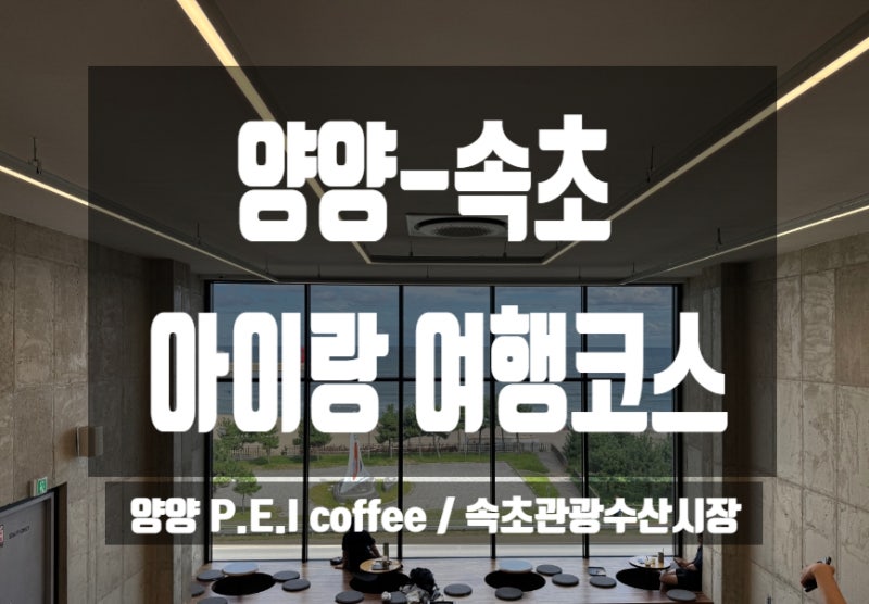 양양 속초 아이와 여행코스｜P.E.I COFFEE 오션뷰 카페부터 속초관광수산시장까지