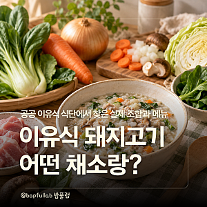 후기 이유식 돼지고기 조합, 공공 식단에서는 어떤 채소와 먹일까?