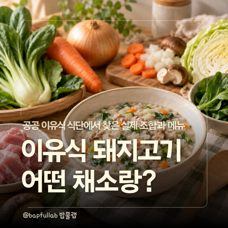 후기 이유식 돼지고기 조합, 공공 식단에서는 어떤 채소와 먹일까?