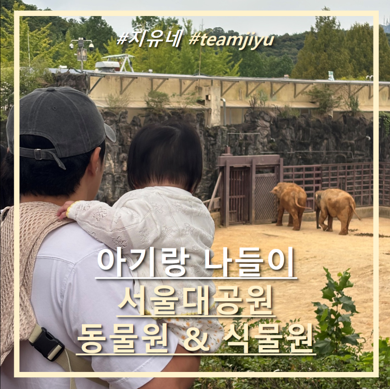 7개월 아기랑 과천 서울대공원 동물원&식물원 나들이 후기(주차, 비용, 코끼리열차, 리프트, ....