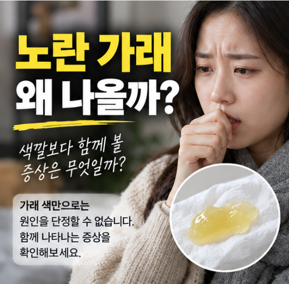 노란 가래 왜 나올까? 색깔보다 함께 볼 증상은
