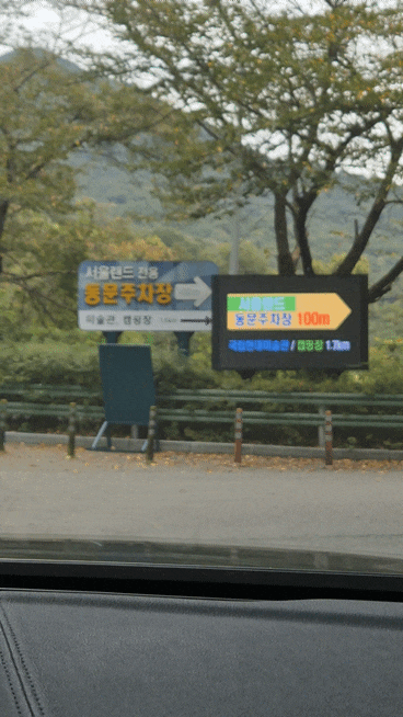 서울랜드 토요일 동문주차장 주차팁!(코끼리열차 안타요)