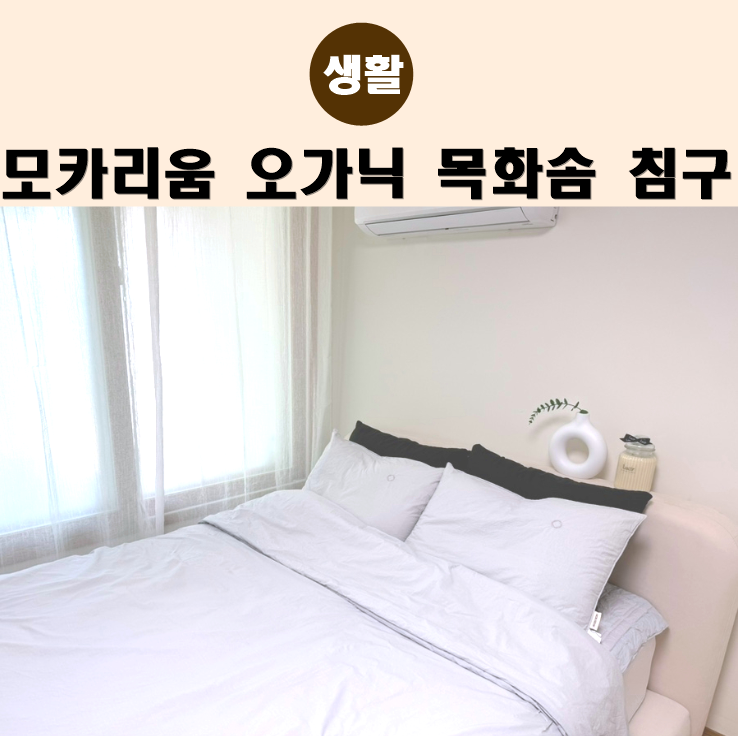 홈세탁 가능한 목화솜이불 모카리움 오가닉침구 찐 후기
