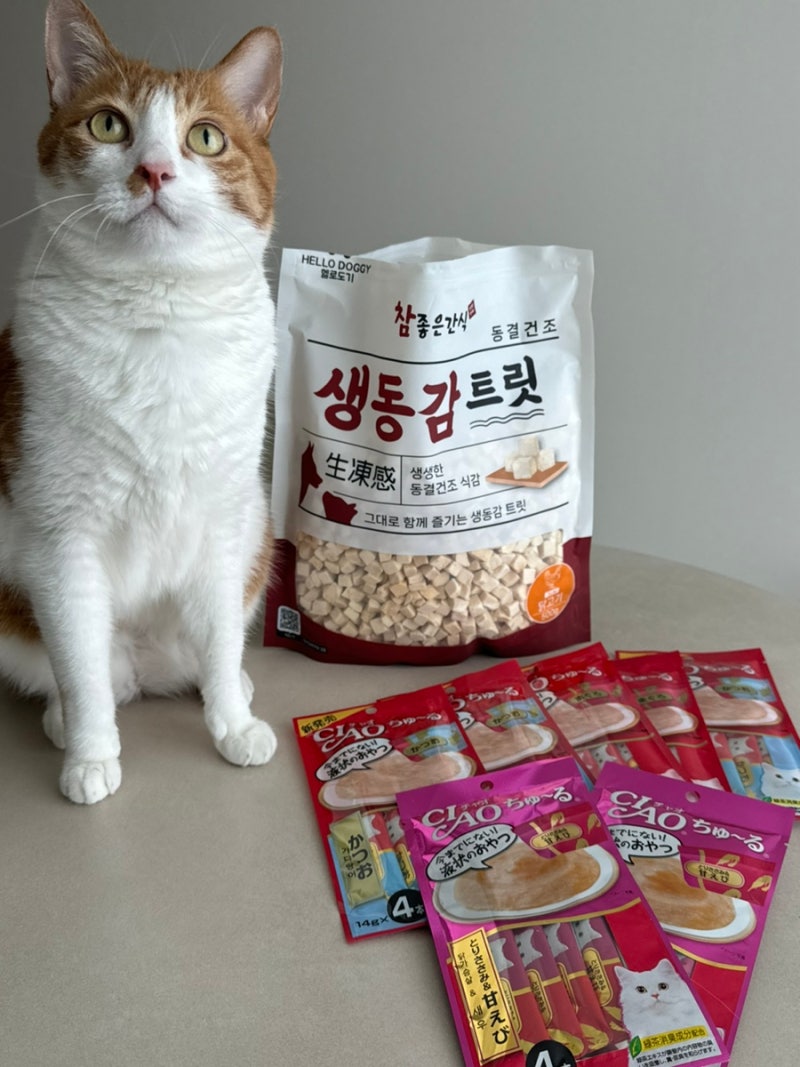 고양이 강아지 간식 트릿 추천 공존스토리 고양이침대