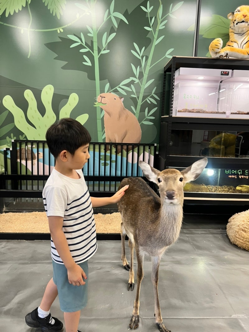 양산 아이랑 가볼만한곳 '와우쥬' 실내동물원