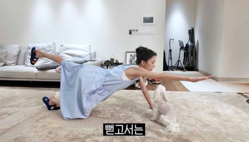 51세 한고은이 추천한 허리 운동, 집에서 따라 하는 버드독 자세..(한고은 허리 운동 공개, 허....