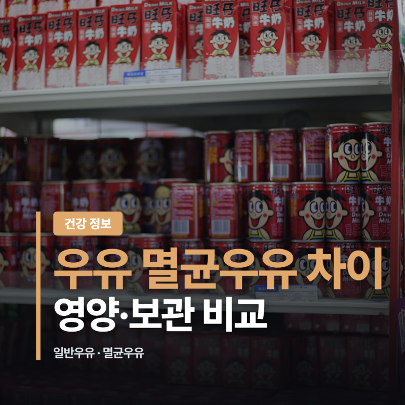 우유 멸균우유 차이 영양성분과 보관법 완벽 비교