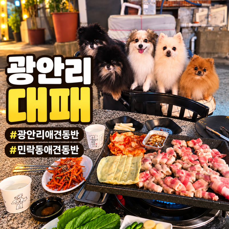 광안리애견동반 대패맛집 다둥이와 함께 즐긴 야장 대패삼겹살 광안리대패 후기