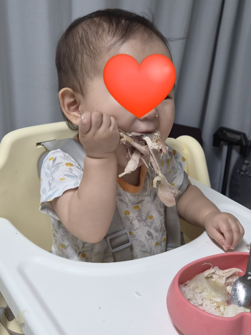 14개월 아기 유아식 백숙 닭죽 레시피 어른도 같이 먹는 메뉴