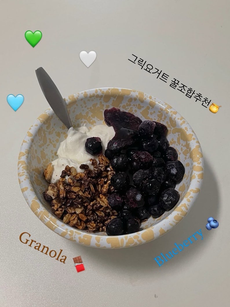 그릭요거트 제품추천 • 꿀조합 간단 레시피