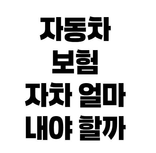 자동차보험 자차 가입했다면? 자기부담금 최소·최대 금액 총정리