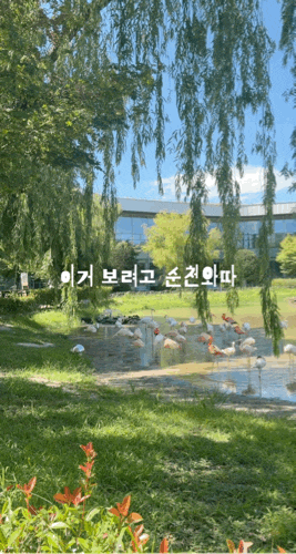 Suncheon Travel Course: Review of Suncheon Drama Set, Okridan-gil, and Areajang Night Market