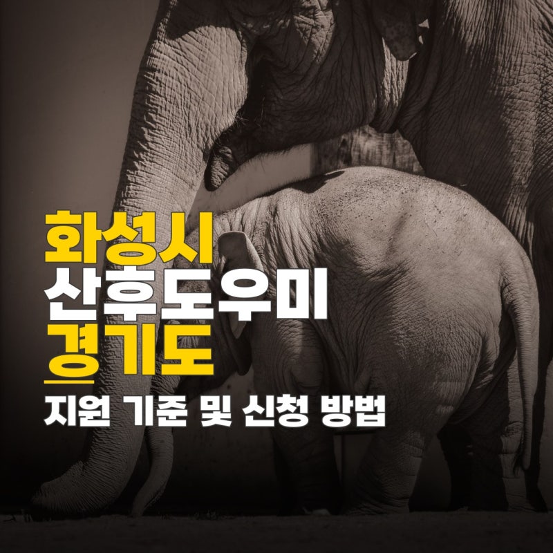 화성시 산후도우미 지원금, 경기도 출산지원금 비교 및 신청 기준