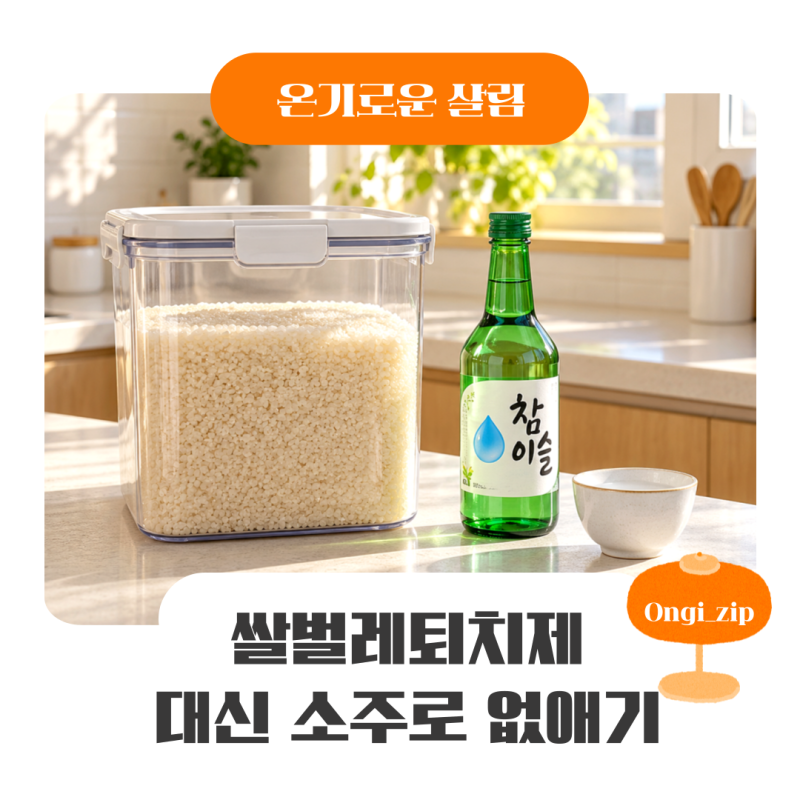 쌀벌레 퇴치제 대신 소주로 쌀바구미 없앤 방법과 후기