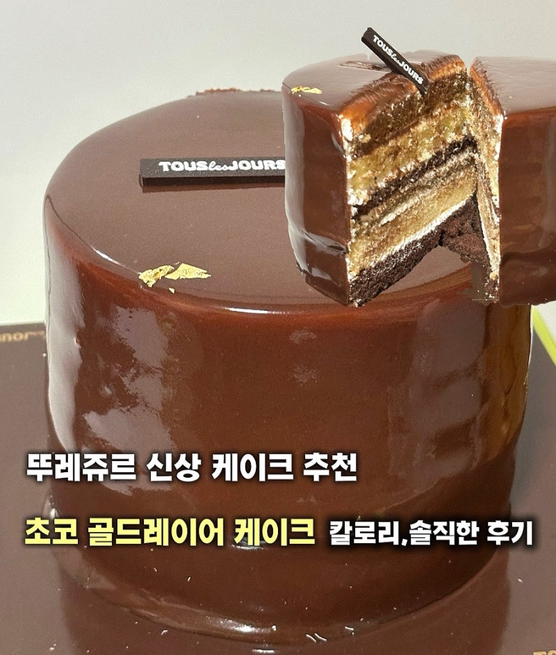 뚜레쥬르 신상 초코 골드레이어 케이크 가격, 솔직 후기✨ / 뚜레쥬르 초코 케이크 추천