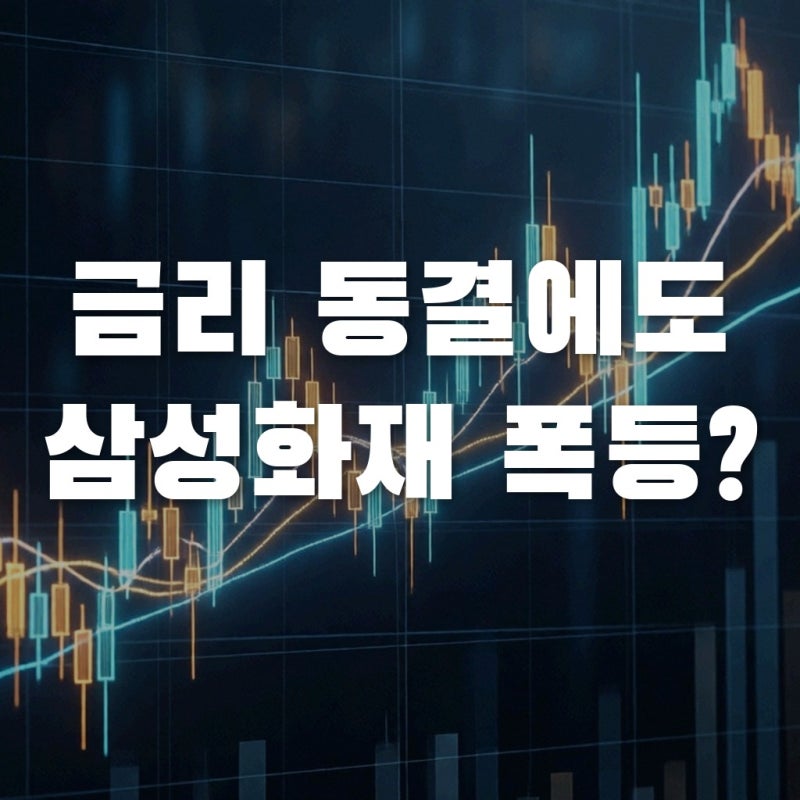 금리 동결인데 삼성화재 주가 폭등? 숨겨진 진짜 이유 분석