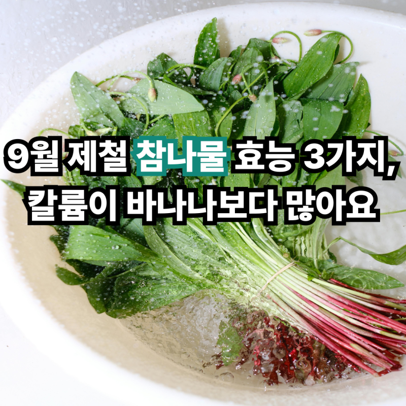 9월 제철 참나물 효능 3가지, 칼륨이 바나나보다 많아요