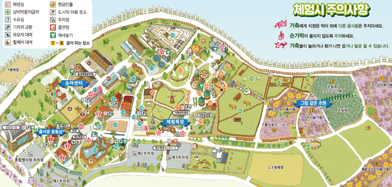 2026 안성팜랜드 완벽 가이드, 승마부터 핑크뮬리까지, 예매, 할인카드