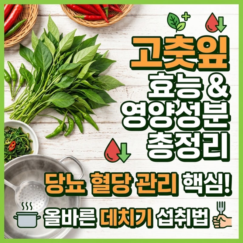 고춧잎 효능과 영양성분 총정리 당뇨 혈당 관리 및 올바른 데치기 섭취법