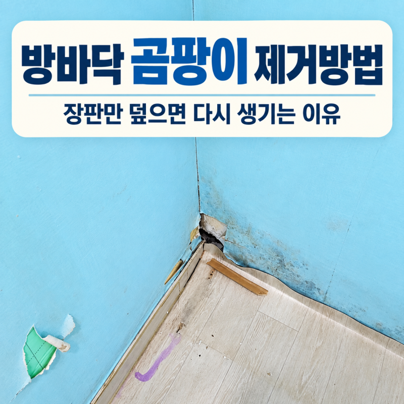 방바닥 곰팡이 제거 방법 장판 밑 습기와 누수를 구별하는 6단계