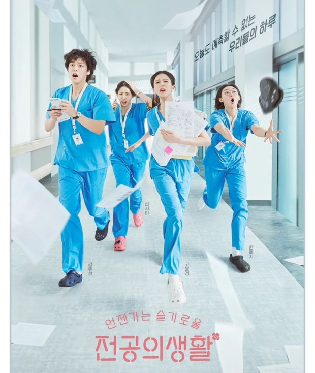 [드라마 추천] 언젠가는 슬기로울 전공의생활 기본정보 줄거리 결말 스포 총정리 (ft. 특별출....