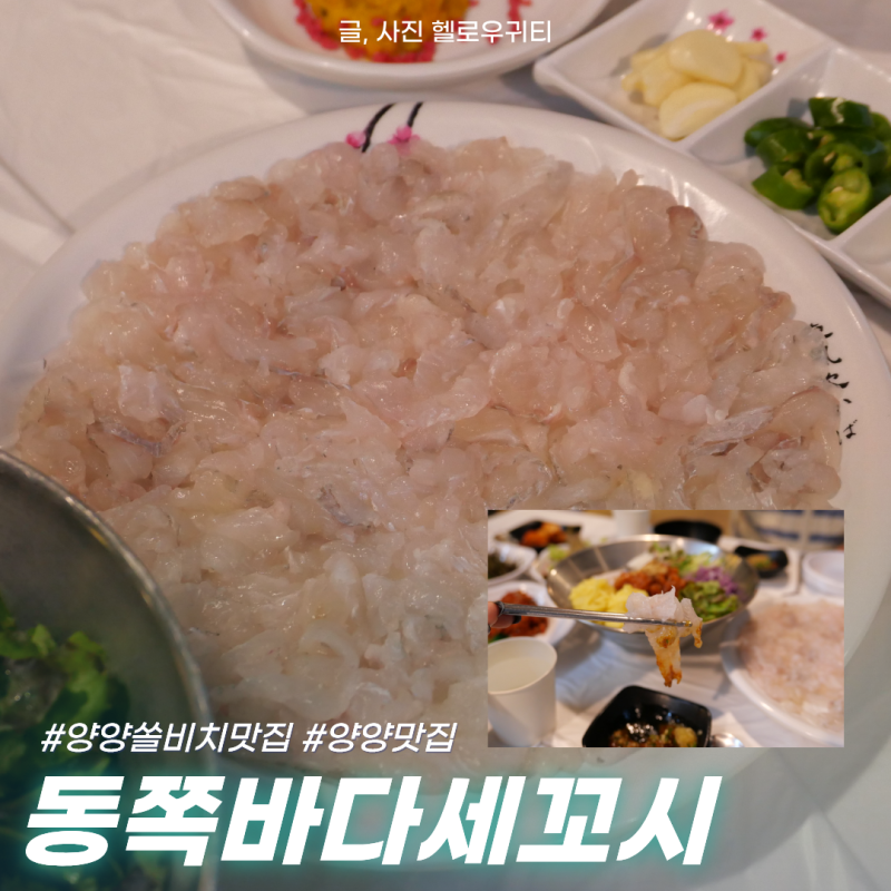 양양쏠비치맛집 설해원맛집 동쪽바다 세꼬시 꼬들꼬들해요