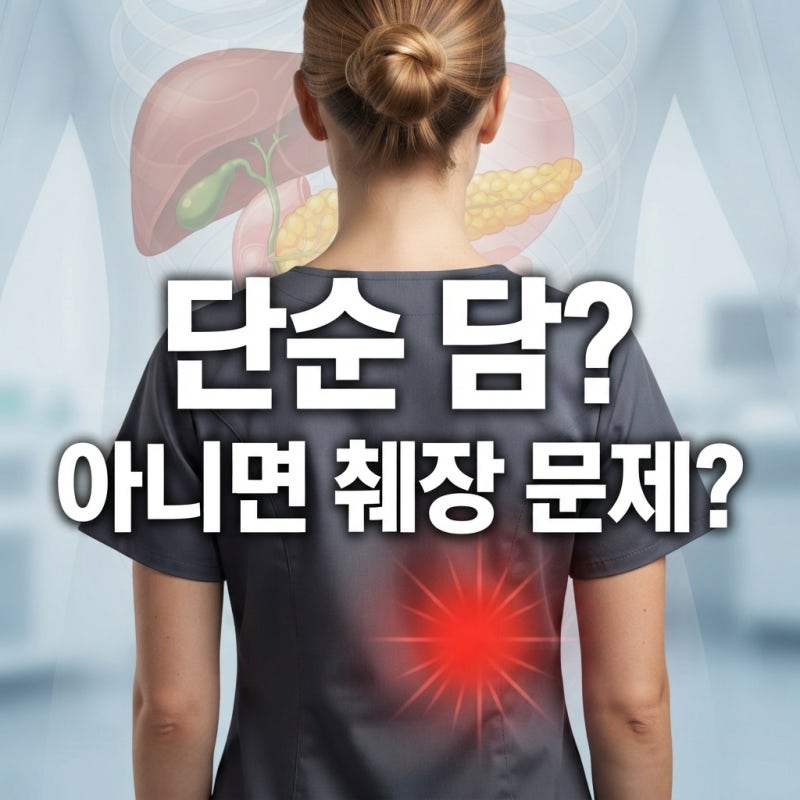 오른쪽 등 통증 원인 5가지 췌장 문제일까? (자가진단 체크리스트)