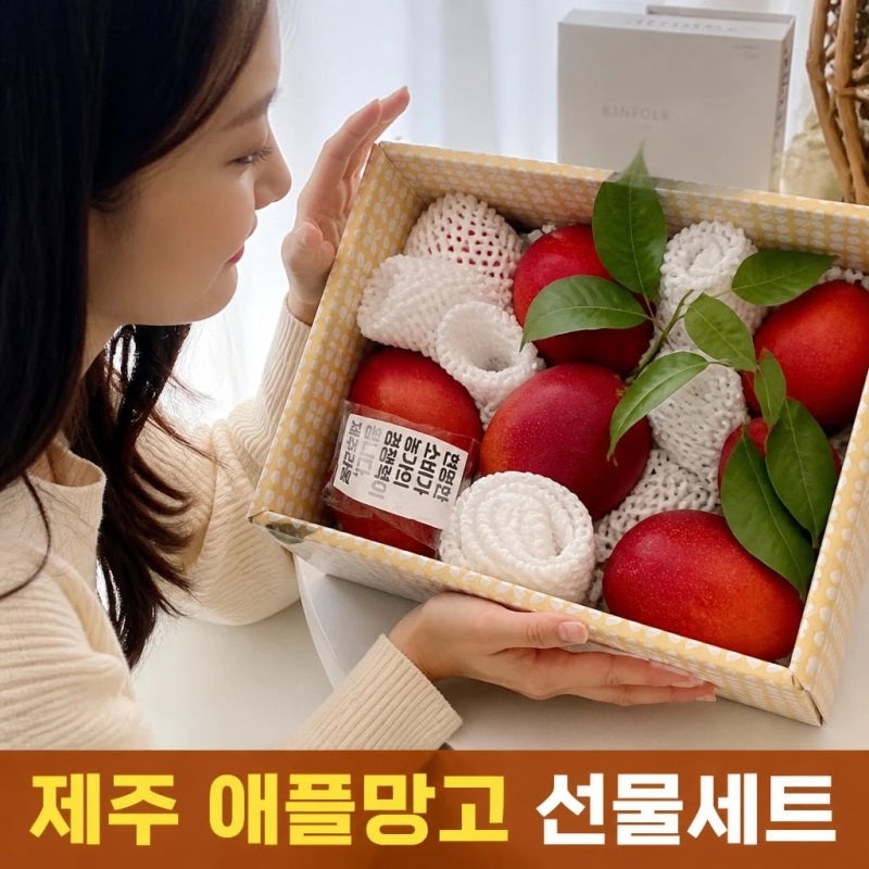 국산 제주 애플망고 3kg 선물세트 농장 산지직송 가격 과수 크기 완벽 정리