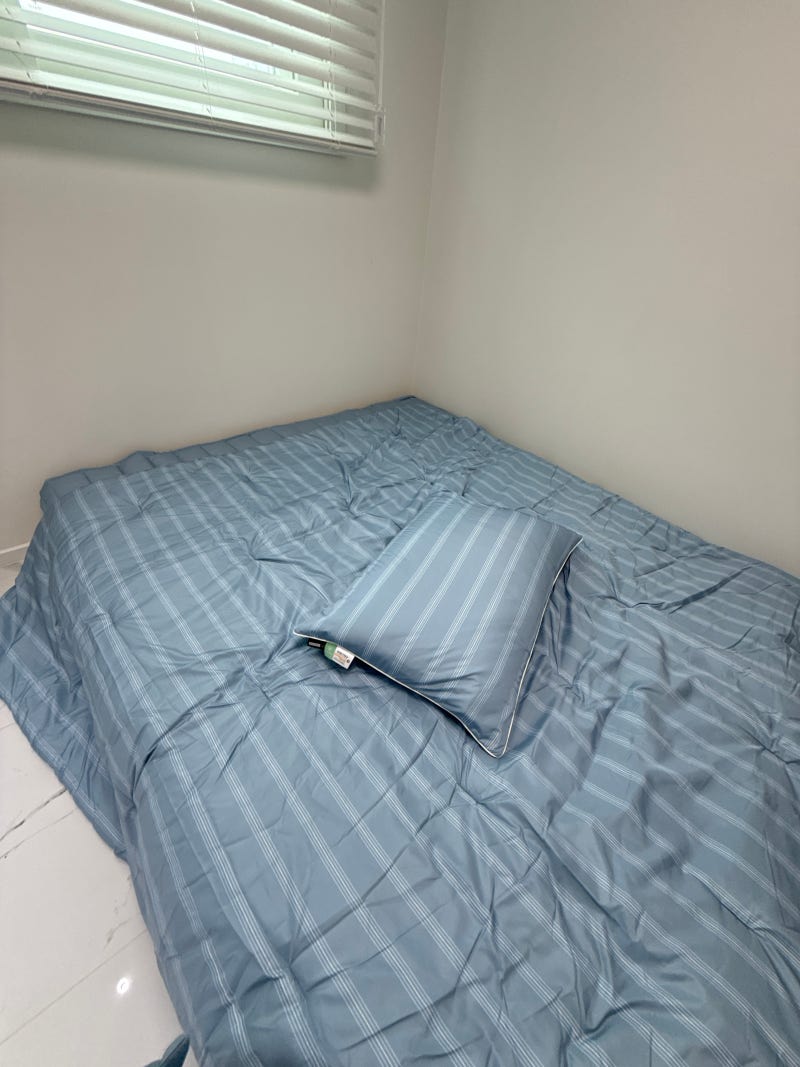 먼지없는이불 가을 패드세트 Q 블루스트라이프 너무 예뻐