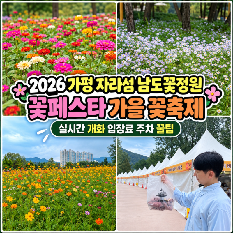 2026 가평 자라섬 남도꽃정원 꽃페스타 가을 꽃축제 실시간 개화 입장료 주차 꿀팁