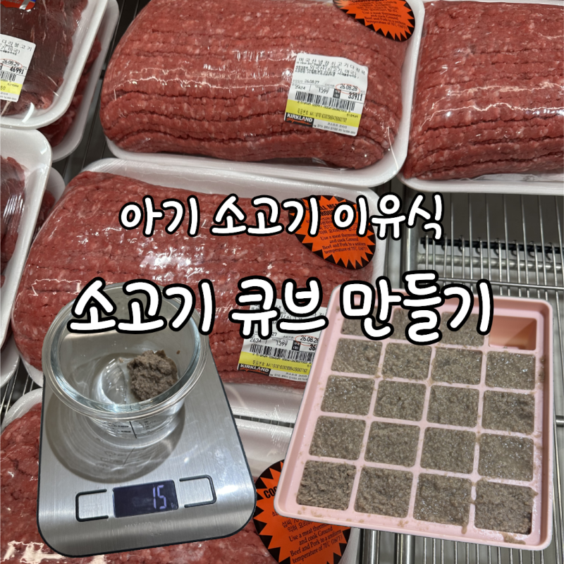 아기 소고기 이유식 언제부터?｜소고기 큐브 만드는 법·하루 섭취량·철분까지
