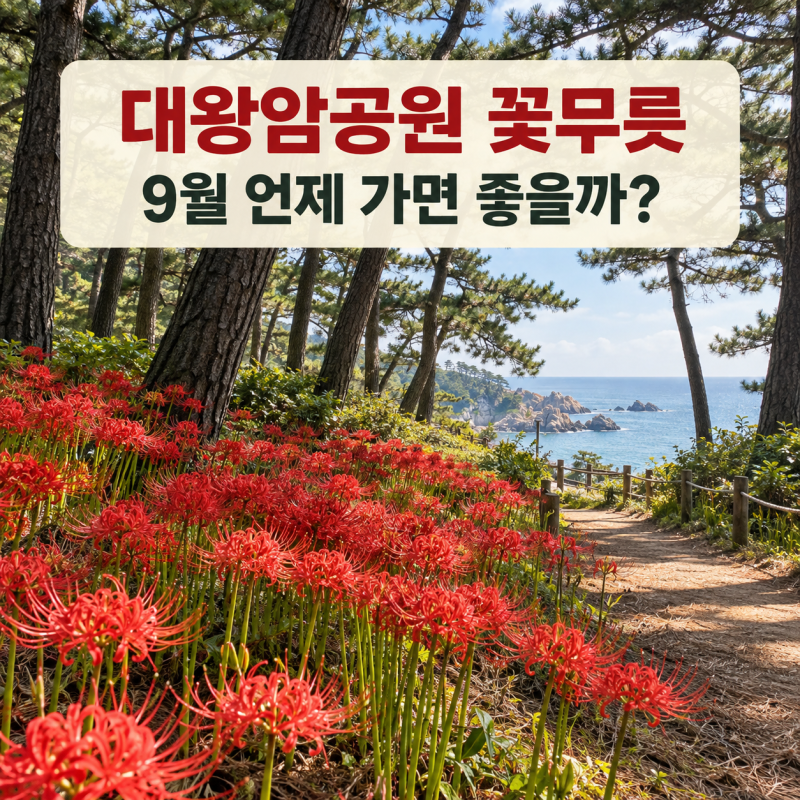 울산 대왕암공원 꽃무릇 언제 볼까?｜9월 개화·주차·산책코스 정리