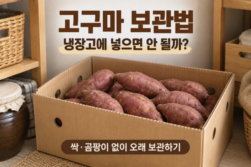 고구마 보관법｜냉장고에 넣으면 안 될까? 싹·곰팡이 없이 오래 보관하기