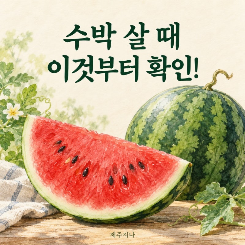 맛있는 수박 고르는 법, 노란 자국부터 무게까지 확인해요