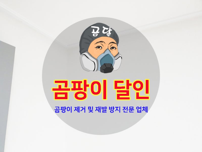 집 곰팡이 제거 후 결로 예방을 위한 단열재 시공 사례