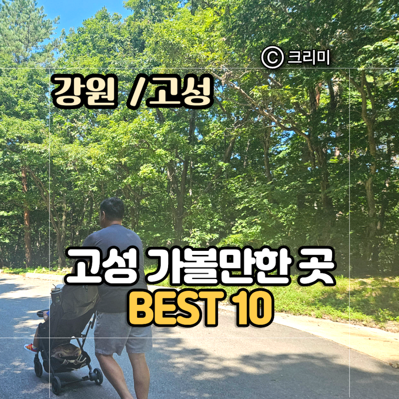 강원도 고성 가볼만한곳 BEST 10 아이와 고성 여행코스 1박2일 추천