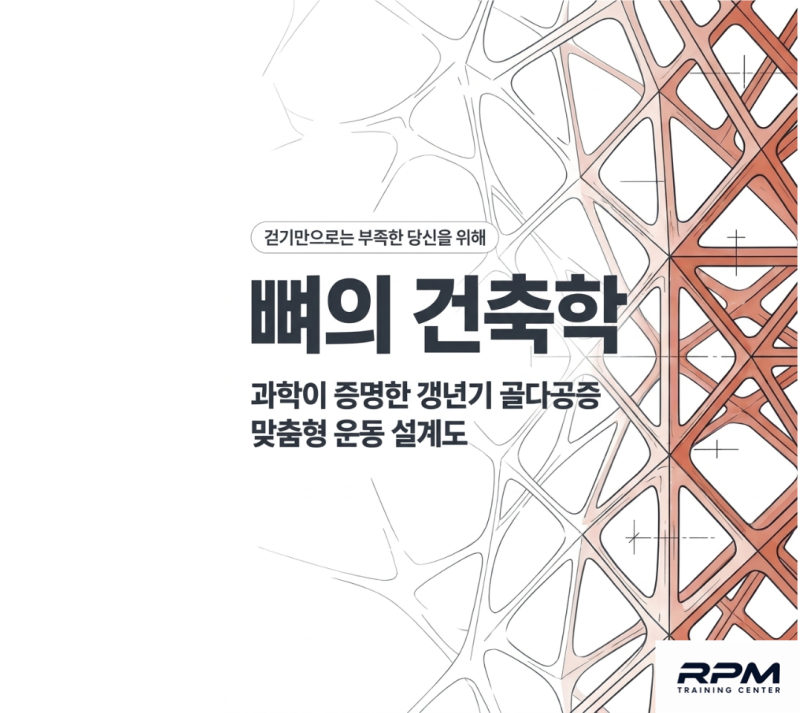 [건강 칼럼] 뼈를 다시 짓는 ‘건축학’걷기만으로는 부족한 당신을 위한 골다공증 맞춤 운....