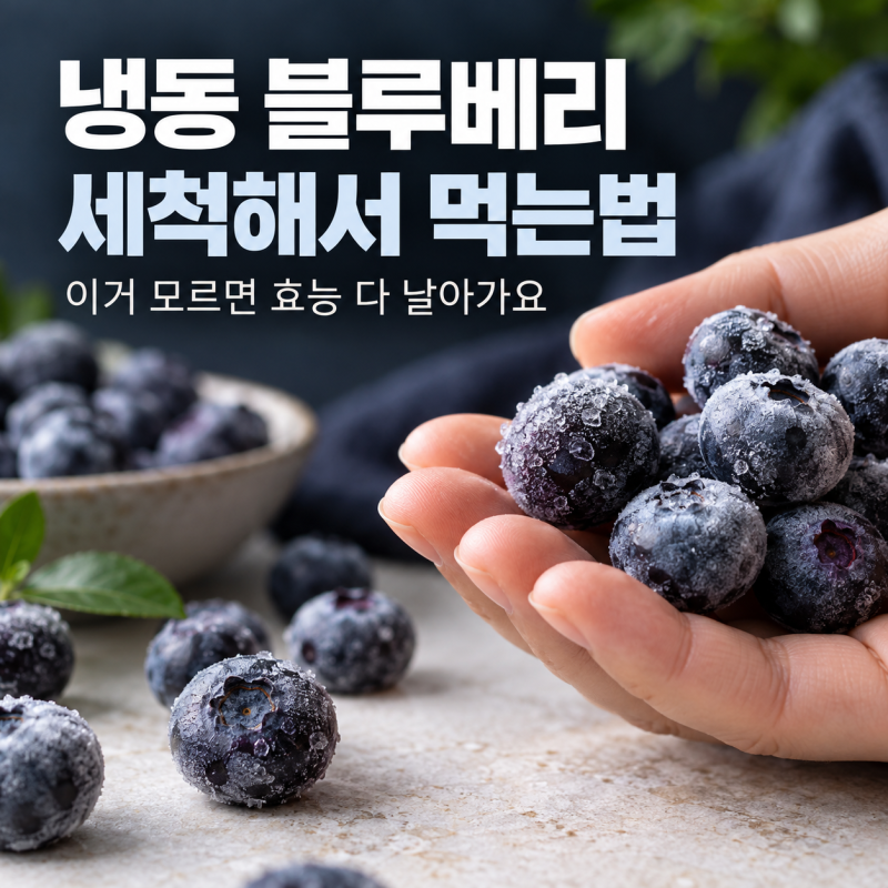 냉동 블루베리 세척해서 먹는법, 이거 모르면 효능 다 날아가요