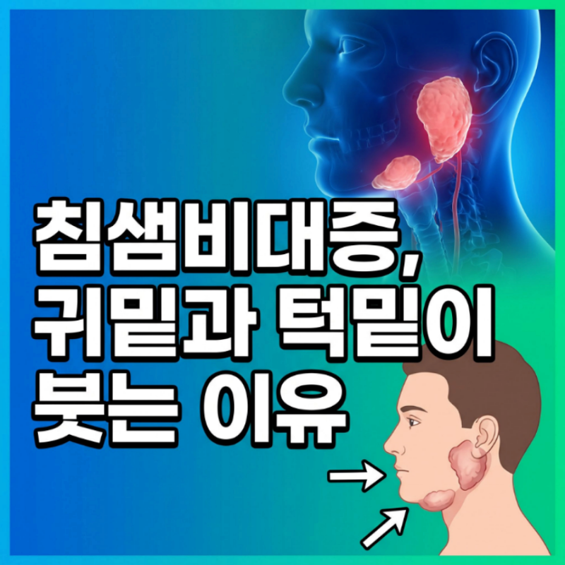 침샘비대증 침샘 부음 원인 증상 귀밑 부음